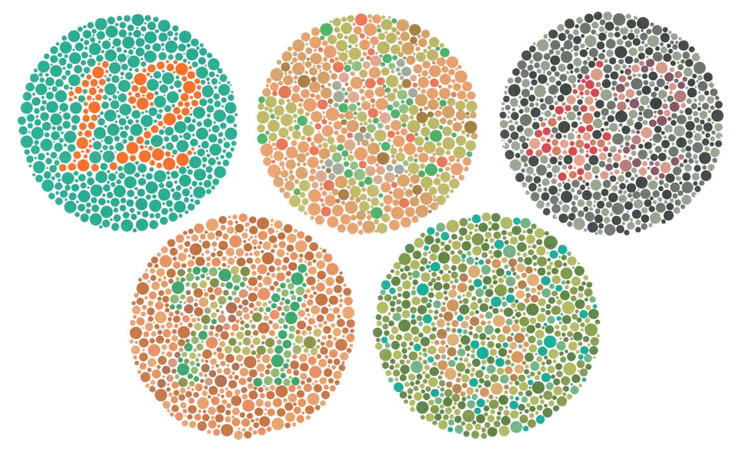 Web design accessible to color blind people – 5 tips