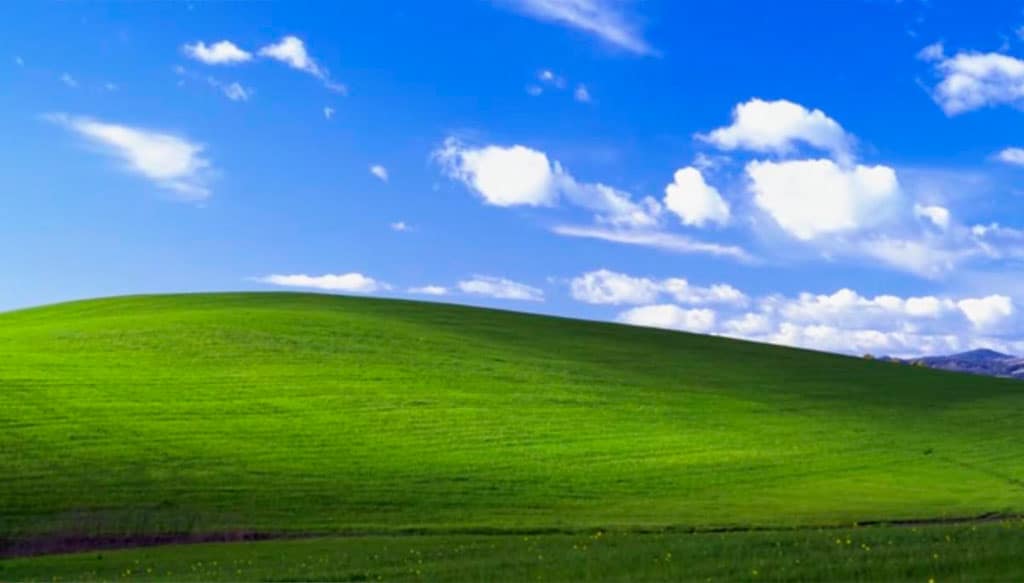 A historia por detrás do famoso fundo de ecrã do Windows XP
